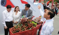 Kết nối giao thương hàng nông sản, thực phẩm Việt Nam - Trung Quốc