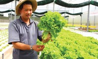 Cơ hội cho nông sản Việt Nam vào châu Âu sau khi EVFTA có hiệu lực