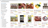 Hỗ trợ tiêu thụ nông sản trên Gian hàng Việt trực tuyến