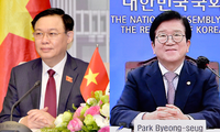 Hợp tác kinh tế là động lực cho các mối quan hệ giữa Việt Nam - Hàn Quốc
