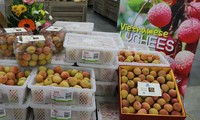 Huy động kiều bào quảng bá, tiêu thụ hàng hóa Việt Nam ở nước ngoài