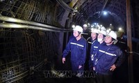  Phó Thủ tướng Lê Văn Thành: Nghiên cứu các giải pháp để cấp đủ than cho sản xuất điện