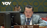 Việt Nam đề cao giải quyết nguyên nhân trong nỗ lực toàn diện phòng ngừa xung đột