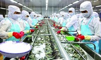 Xuất khẩu tôm của Việt Nam có nhiều tiềm năng, lợi thế