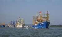 Các nghiệp đoàn nghề cá Quảng Nam rộn ràng ra khơi