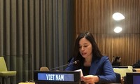 Việt Nam khẳng định cam kết thúc đẩy quyền của người khuyết tật