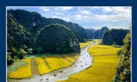 Triển lãm “Không gian Di sản văn hóa Việt Nam” tại tỉnh Quảng Nam