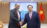 Thủ tướng Phạm Minh Chính tiếp Đại sứ Singapore Jaya Ratnam và Giám đốc điều hành Quỹ Temasek Ng Boon Heong