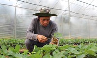 Nông nghiệp kết hợp trải nghiệm, mô hình du lịch đặc sắc ở tỉnh Sơn La