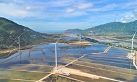 JICA (Nhật Bản) tài trợ 25 triệu USD cho Dự án phát triển điện gió trên đất liền tại Ninh Thuận