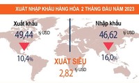 Hai tháng đầu năm nay, Việt Nam xuất siêu hơn 2,8 tỷ USD