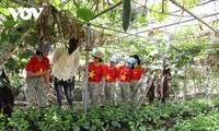 Nữ chiến sỹ “mũ nồi xanh” Việt Nam giúp người dân Abyei phát triển nông nghiệp