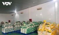 Lần đầu tiên tỉnh Quảng Trị xuất khẩu gạo sang châu Âu