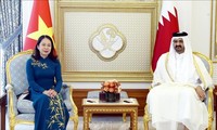 Thúc đẩy quan hệ hữu nghị và hợp tác nhiều mặt Việt Nam - Qatar