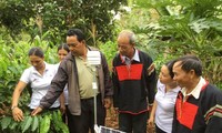 Đồng bào các dân tộc ở Đắk Lắk thay đổi tập quán sản xuất nông nghiệp