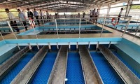 JICA hỗ trợ Việt Nam 45 tỷ đồng phát triển hệ thống cấp nước bền vững