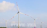 Tập đoàn SK hợp tác phát triển điện Mặt Trời và điện gió ở Việt Nam