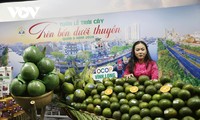 TP.HCM khai mạc Tuần lễ trái cây “Trên bến dưới thuyền”