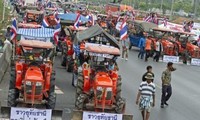 Более тысячи крестьян Таиданда вышли на демонстрации в Бангкоке