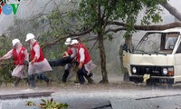 Вьетнам поделился со странами мира опытом в борьбе со стихийными бедствиями 