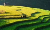 Земледельческая техника народности Монг 