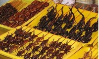 Есть насекомых в Ханое - а вы бы осмелились?