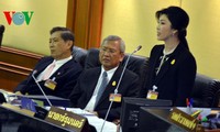 Демократическая партия Таиланда призвала врио премьер-министра страны разрешить кризис