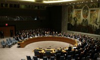 Совбез ООН одобрил гуманитарную резолюцию по Сирии