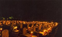 Посещение военного кладбища Чыонгшон в июльские дни