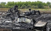 Россия передала данные Комиссии по расследованию причин крушения малайзийского самолета