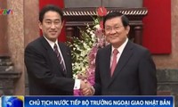 Президент СРВ Чыонг Тан Шанг принял главу МИД Японии 