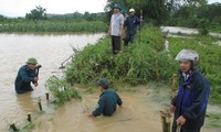 Во Вьетнаме ведется работа по ликвидации последствий тайфуна «Калмэджи»