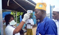 Число жертв лихорадки Эбола достигло почти 2800 человек 