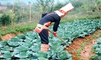 Во Вьетнаме отмечается 34-й Всемирный День продовольствия