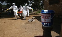 На ликвидацию эпидемии лихорадки Эбола потребуется ещё много времени