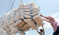  Необходимо повысить экспортную стоимость вьетнамского риса 