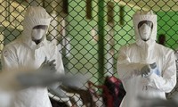 ВОЗ: более 5 тысяч человек погибло от лихорадки Эбола