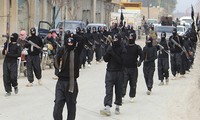 Эксперты США: не наблюдается признаков сотрудничества между "ИГ" и "Аль-Каидой"