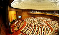 Вьетнамские депутаты проголосовали за принятие некоторых законов