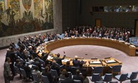 Совбез ООН обязался бороться с иностранными боевиками-террористами