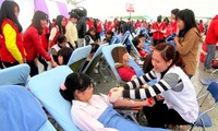 В Ханое состоялся государственный праздник добровольцев 2014