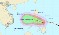 Необходимо уделять большое внимание профилактике и борьбе с таифуном Хагупит