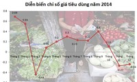 ИПЦ во Вьетнаме в 2014 году по сравнению с 2013 годом увеличился на 4,09%