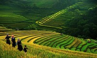 Журнал Wanderlust: Вьетнам является одним из лучших туристических направлений 2015 года 