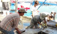 Рыбаки в морских акваториях Вьетнама готовятся к встрече Нового года по лунному календарю 