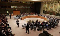 Совбез ООН одобрил введение санкций в отношении Южного Судана 