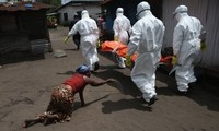 Число летальных исходов от вируса Эбола превысило 10 тысяч
