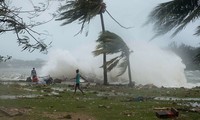 Никто из вьетнамцев в Вануату не погиб от циклона «Пэм»