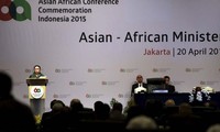 Стремление Вьетнама активизировать Азиатско-Африканское сотрудничество ради мира и процветания
