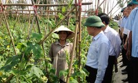 Вице-премьер СРВ Ву Ван Нинь совершил рабочую поездку в провинцию Тхайбинь